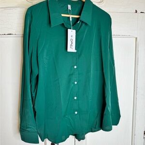Green Blouse